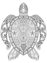 Check spelling or type a new query. Cute Hard Coloring Pages Copy Owl For Adults Printable Kids Best Pictures Of Animals Turtle Coloring Pages Animal Coloring Pages Mandala Coloring Pages