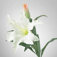 Smycka Kunstblume Lilie Weiss 85 Cm Ikea Osterreich Artificial Flowers Ikea Artificial Flowers Artificial Flower Arrangements