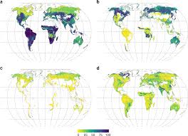A dependable host for the majority of am fungi species, bahiagrass (paspalum notatum flugge) has been used extensively. Global Mycorrhizal Plant Distribution Linked To Terrestrial Carbon Stocks Nature Communications