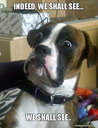 Indeed We Shall See We Shall See Skeptical Dog Make A Meme