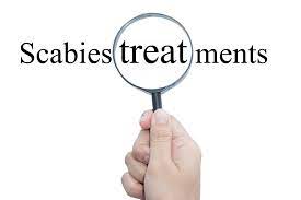 How To Treat Scabies During Pregnancy American Pregnancy Association