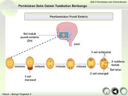 Semoga yang membaca ini mendapat a dalam spm biologi. Chapter 4 Pages 51 88 Flip Pdf Download Fliphtml5