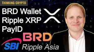 It supports cryptocurrencies including ripple, bitcoin, dash, ethereum, litecoin, and more. Best Cryptocurrency Wallet 2021 Ripple Best Anonymous Cryptocurrency Exchange