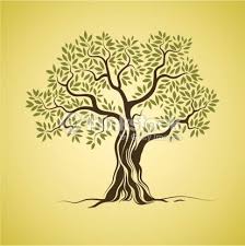 48834df75eee41d2a282898b57da06f4 Jpg 413 414 Tatuaggio Olivo Disegni Di Alberi Alberi Verniciati