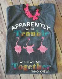 Flamingo Apparently We Re Trouble When We Are Together Who Knew Ladies T Shirt Ebay Funny Shirts For Men T Shirts For Women Tshirt Designs