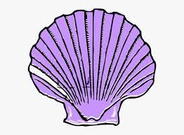 Shell svg, beach svg, clam svg, cuttablecreatables 5 out of 5 stars (1,468) Clam Seashell Clip Art Shell Clip Art Hd Png Download Transparent Png Image Pngitem