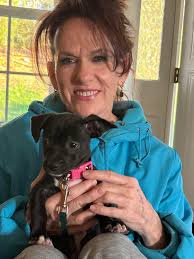 Knox Vintage Pet Project