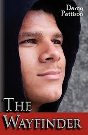 The Wayfinder by Darcy Pattison