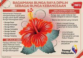 Muka yang merah padam kerana marah. Kpwkm Auf Twitter Tahukah Anda Bagaimana Bunga Raya Dipilih Sebagai Bunga Kebangsaan Sayangimalaysiaku Malaysiamerdeka Sumber Bernama Https T Co Veq58dd1bw