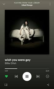 Billie Eilish Wish You Were Gay