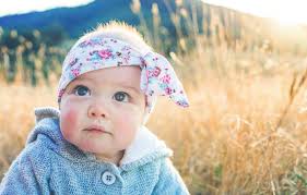 NARNIA PREPARATIONS ROAR TO LIFE