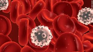 Blood tests help doctors check for certain diseases and conditions. Blood Test Might Diagnose All Forms Of Cancer