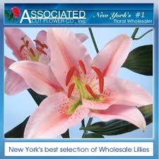 Associated cut flower is a fresh cut floral wholesaler, selling to professional florists, floral designers and related. Associated Cut Flower Company 131 W 28th St New York Ny Florists Wholesale Mapquest