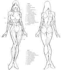 Full body easy deadpool drawing. Image Result For Human Anatomy Drawing Reference Human Anatomy Drawing Human Figure Drawing Anatomy Sketches