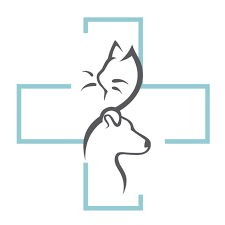 Are there blind maine coon cats in connecticut? Pawsafe Animal Rescue Home Facebook