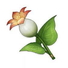 Where can i buy flowers in genshin impact. Calla Lily Genshin Impact Wiki Fandom