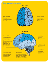 She needs to be evaluated by a neurologist asap. Brain Tumours Overview Cancer Council Victoria