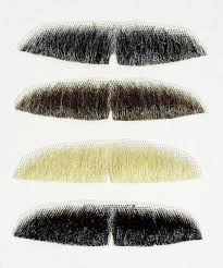 Trouvez/téléchargez des ressources graphiques moustache gratuites. Fausse Moustache Theatre Realiste Postiche De Deguisement Ap0064 Atelier Mascarade