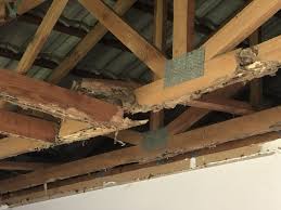 A termite inspection for a va loan may uncover an existing infestation or damage from past infestations. Which Is The Best Termite Treatment For Your Home Allpro Pest Control