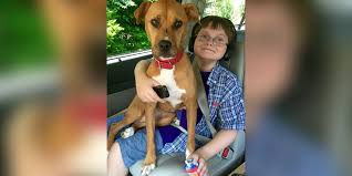 Here are the top 5 tips from the speech therapist, frances johnstone. Having A Child With Autism 21 Things I Wish I D Known