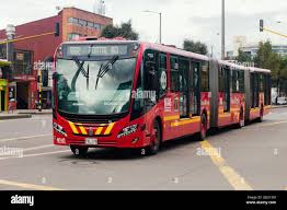 Image result for Bussea