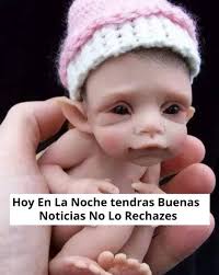 HCH Televisión Digital