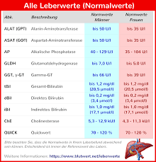 Leberwerte Zu Hoch Was Bedeutet Das