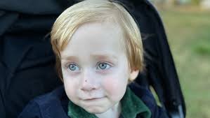 Fundraiser for Thomas Moreno by Josh Miller : Shepard's Fight