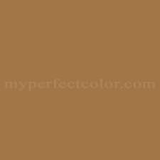 British Standard Colours Bs08c37 Bracken Precisely Matched For Spray Paint And Touch Up