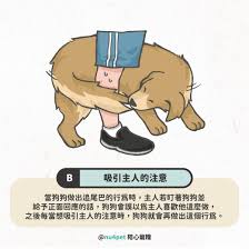 陪心知識+｜部落格－陪心寵糧