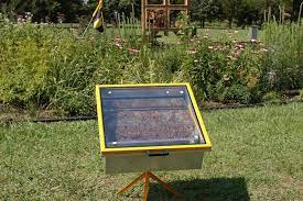 Solar Wax Melter Honey Bees And Beekeeping Bee Keeping Wax Melters Bee