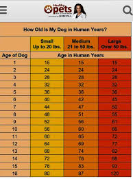 Pin By Robin Patterson On Animals N Pets Dog Ages Animals And Pets Pets