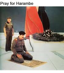 Saddam hussein epic gaming chamber. Pray For Harambe Spicy Saddam Hussein Meme On Ballmemes Com