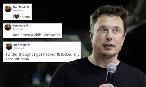 200,996 likes · 1,621 talking about this. Elon Musk Says Twitter Account Was Locked After He Tweeted He Owns A Pet Wolverine Daily Mail Online