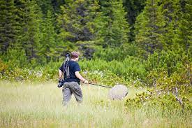 What Does A Wildlife Biologist Do And How To Become A Wildlife Biologist