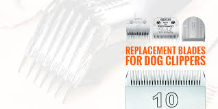 Buying Dog Clipper Blades All The Different Blades For Dog
