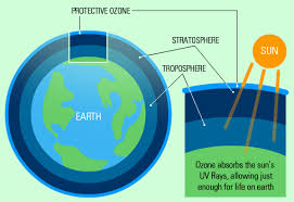 This Is Simply A Layer In The Stratosphere Containing A Relatively High Concentration Of Ozone Find Out Where The Ozone Laye Ozone Layer Ozone Ozone Depletion