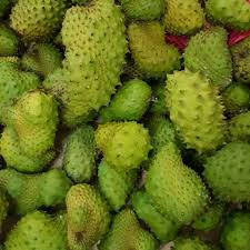 Kekurangan jumlah air pada akar pokok durian Projek Durian Belanda Postingan Facebook