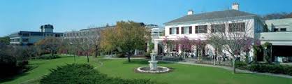 Pretty Much The Most Amazing Ever Cape Town Wedding Venues Hotel Conference Venue
