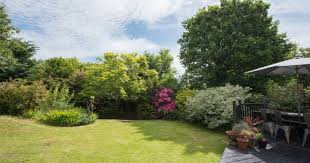 Voila, now you have a great piece to surprise all your guests and just to refresh in the summer heat! The Daily Post Launches Glorious Gardens Competition North Wales Live