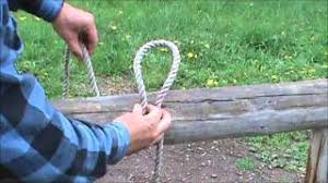 Halter hitch highwayman's hitch manger hitch mooring hitch siberian hitch slip knot ring hitch tumble hitch The 5 Essential Knots Every Horse Person Needs To Know