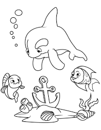 Animales Marinos Para Colorear