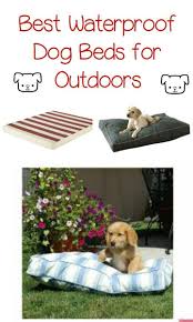 8 Best Outdoor Waterproof Dog Beds Outside Dog Bed Dog Bed Outdoor Dog Bed