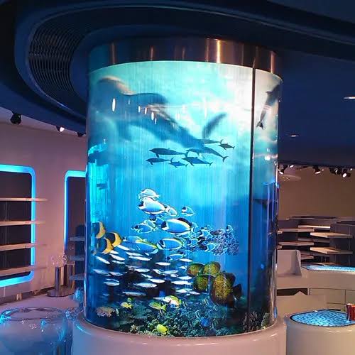 AR Coated Tempered Glass Aquarium Viewing Window