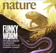 Covers | Nature research figure guide