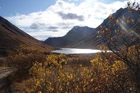 See more ideas about alaskan cabins, cabin, house information. Alaskan Spruce Cabins Updated 2021 Prices Campground Reviews Healy Ak Tripadvisor