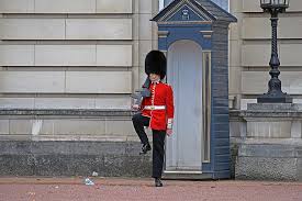 Although all five of these groups of foot guards seem to wear the same uniform, there are minor differences. Buckingham Palace Guard London England Royalty Guard Soldier Tradition Culture Military Uniform Parade Pikist