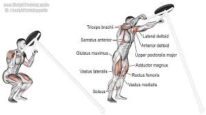 Weighttrainingguide Landmine Squat To Shoulder Press A Major Compound Exercise That Targets Your Anterior Deltoid Gluteus Ma Deltoids Squats Weight Training