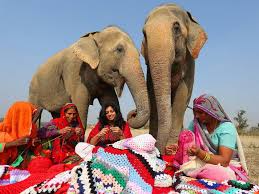 60 cm, 80 cm, 100 cm (for approximately 24, 32, 40 total needle length). These Women Are Knitting Massive Wool Sweaters For Rescued Elephants