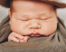 akuserko nasilje gak narodni front dr Branka Nikolić